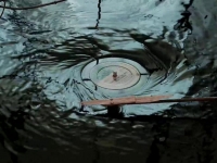 turntable water